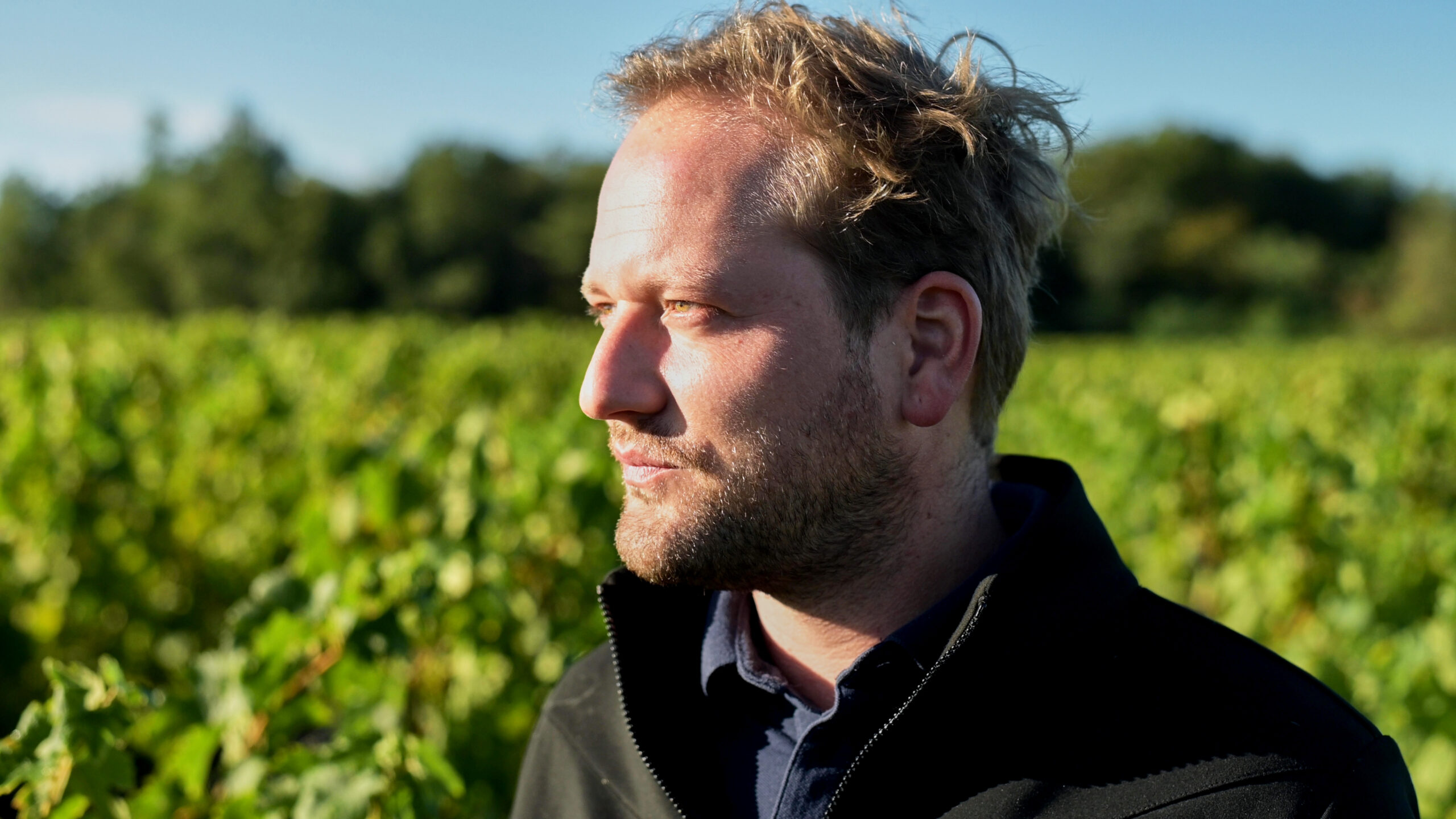 Hubert de Boüard Bryan Dessaint oenologue conseil Montagne Saint Emilion
