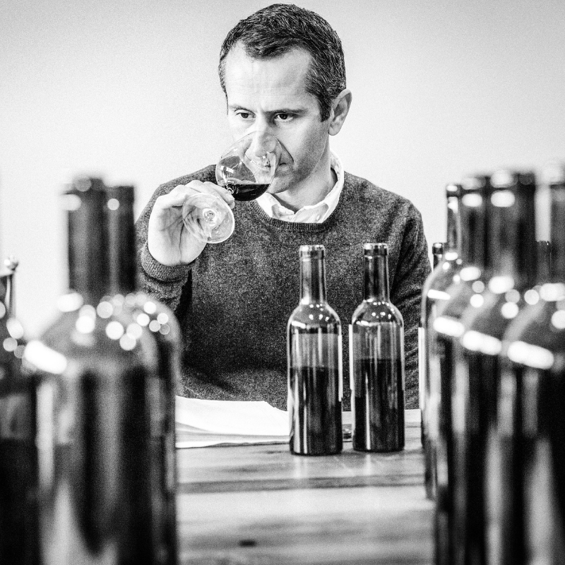 Philippe Nunes œnologue conseil Hubert de Boüard Consulting château vigne viticole analyses vin