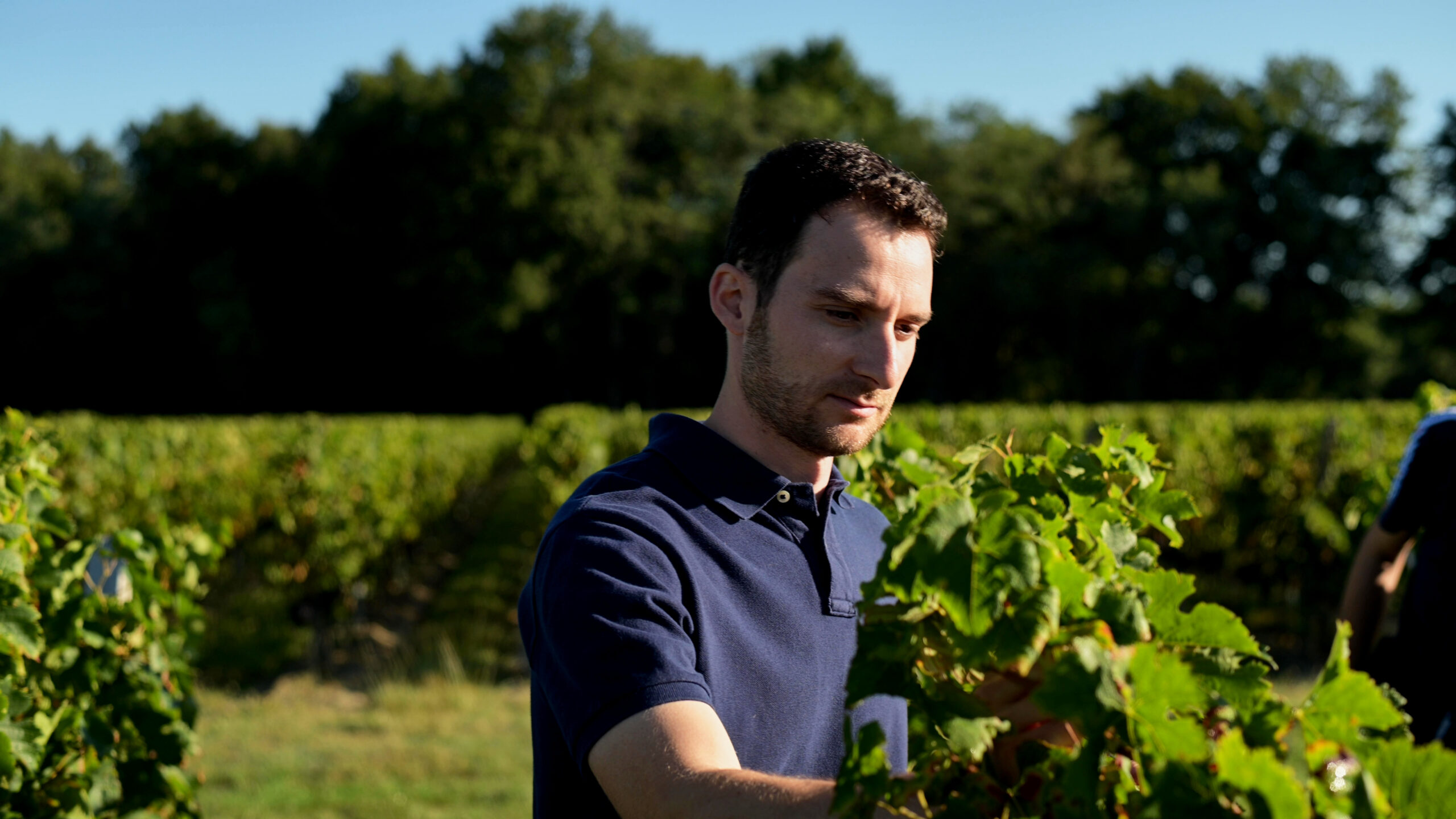 Hubert de Boüard Consulting Maxime Tach Oenologue conseil viticulture oenologie Montagne Saint Emilion
