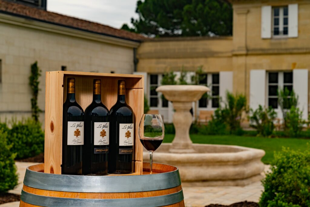 Château la Fleur de Boüard Le Plus vin