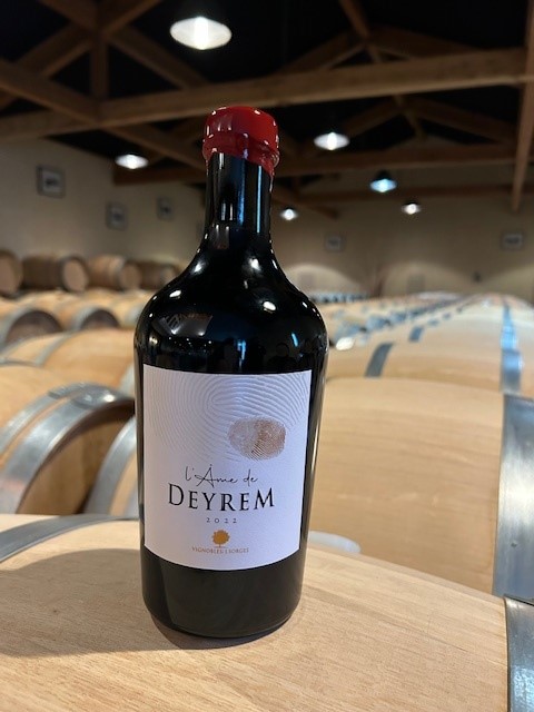 Hubert de Boüard Château Deyrem Valentin L'Âme vin