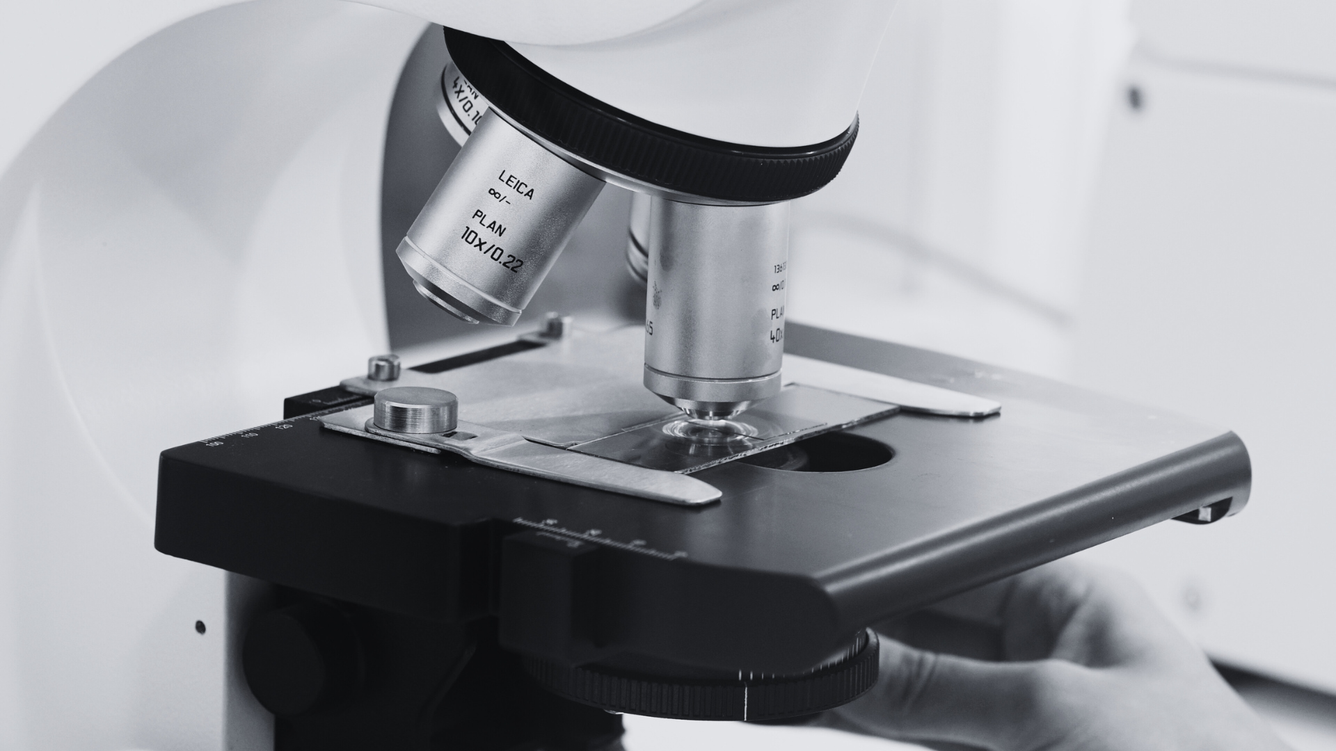 Hubert de Boüard laboratoire analyse œnologie vin microbiologie