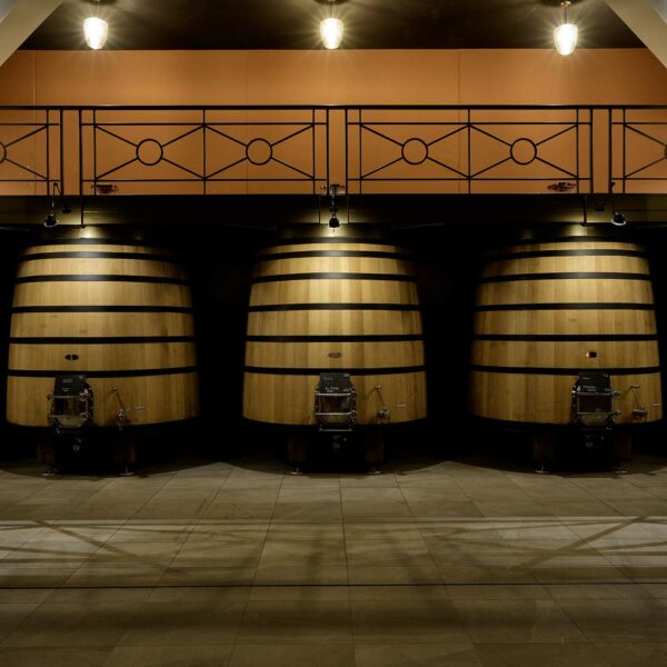 Château Plain Point - Fronsac