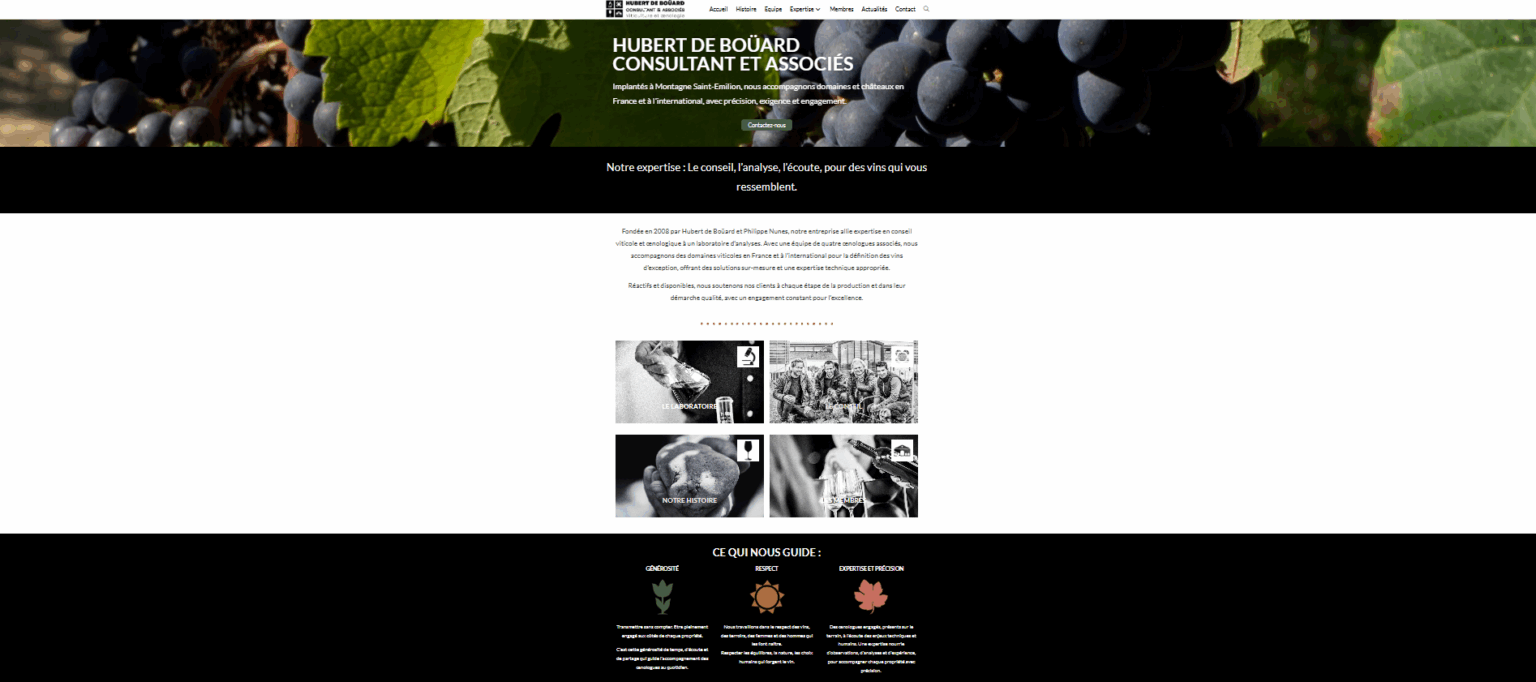 Hubert de Boüard site internet