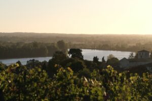 Hubert de Boüard Bordeaux oenologues conseils FRONSAC