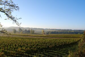 APPELLATION Lussac