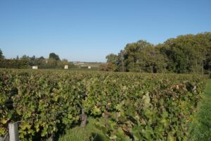 Hubert de Boüard appellation Margaux