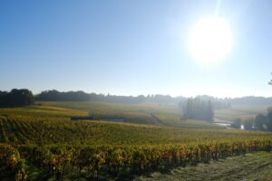 Appellation PUISSEGUIN