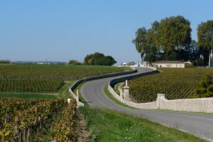 Hubert de Boüard appellation Pauillac