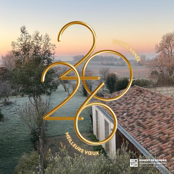 Hubert de Boüard Consultant et Associés Œnologues Conseil Saint Emilion